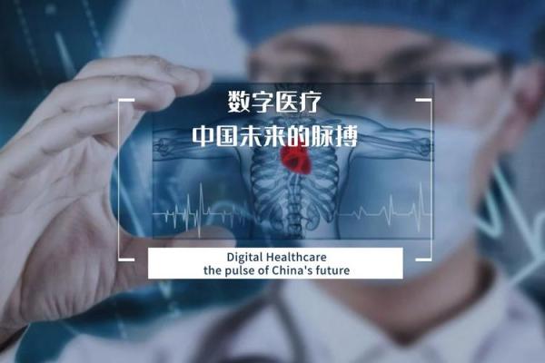 用一米理象数命理看透未来，数字预示人生轨迹