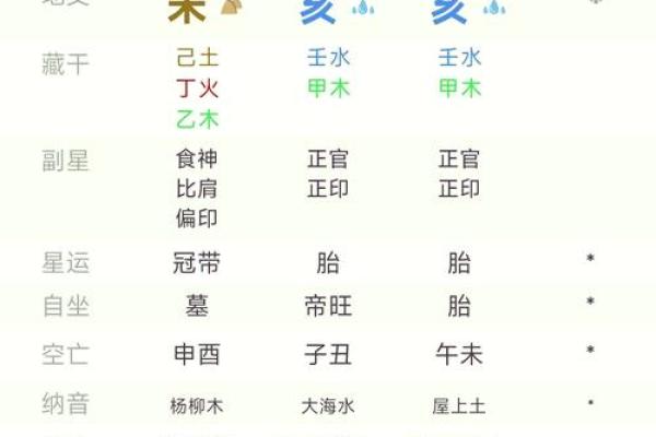 什么贞什么亨排盘揭秘：如何通过命盘预测人生运势