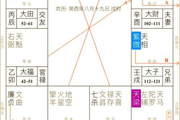 什么贞什么亨排盘揭秘：如何通过命盘预测人生运势
