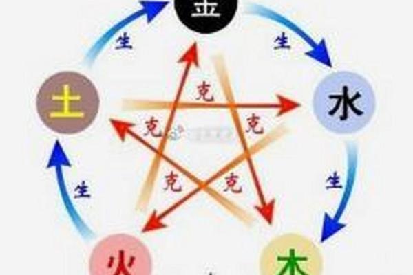 苏五行属于什么？了解你的命理根基