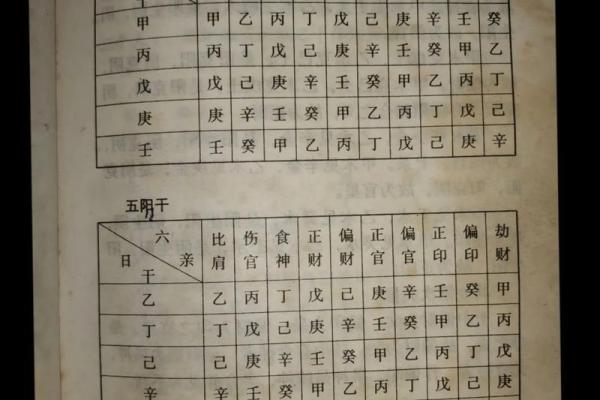支与天干时辰全解析，助你精准掌握命运走势