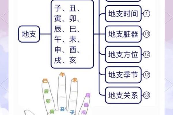 支与天干时辰全解析，助你精准掌握命运走势
