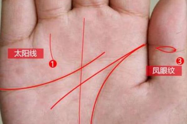 手相事业线短，命运逆袭的秘密