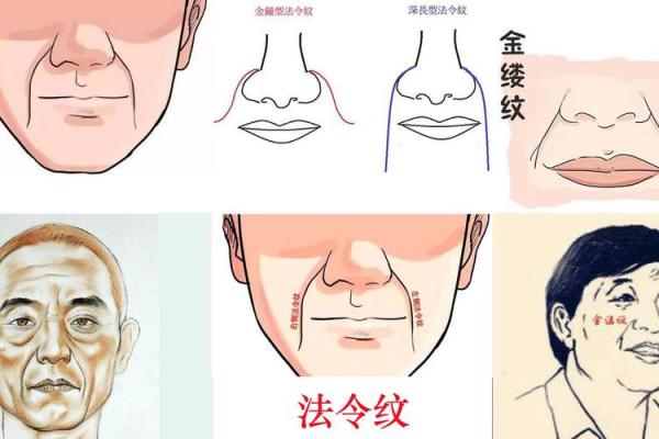 年轻显老？揭秘法令纹背后的面相秘密