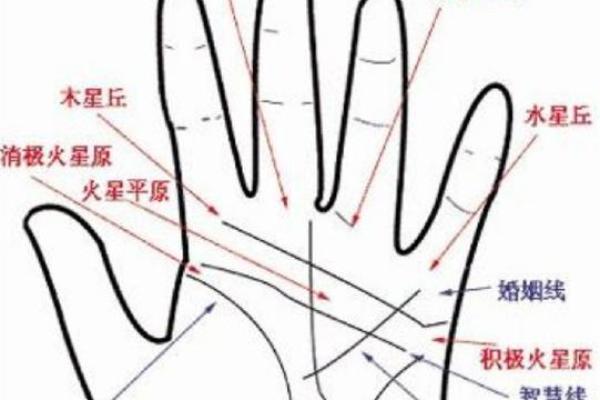 手相奥秘大揭秘：大拇指纹路揭示财运人生