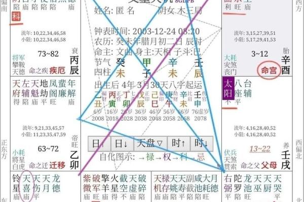 紫薇入命：揭秘神秘命运的终极奥秘