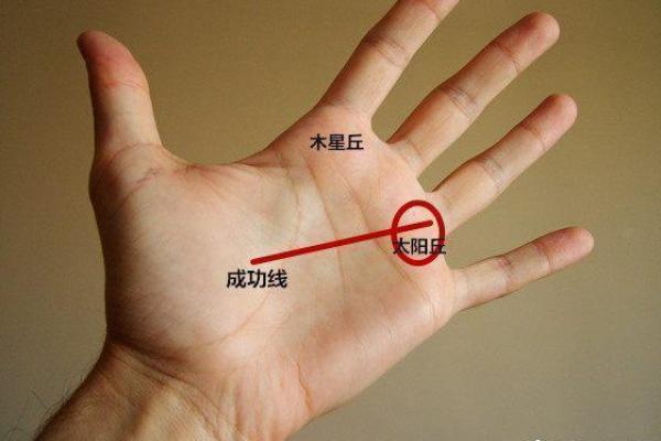 修杰楷八字分析：如何从命理中看出他的成功秘诀