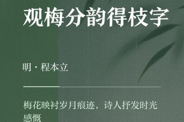 梅字的五行归属是什么