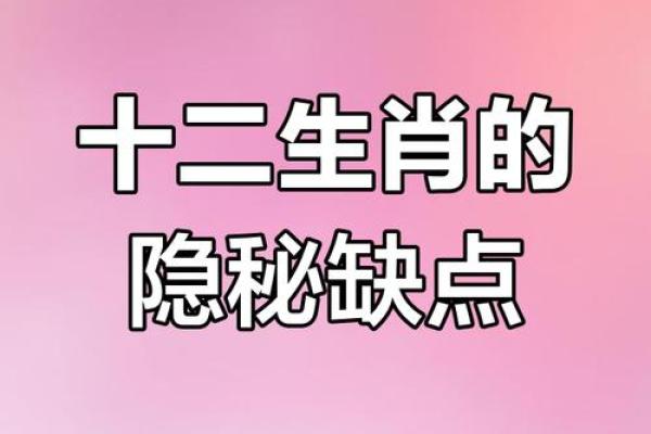 生肖之谜：路猜生肖，解锁生肖背后的秘密