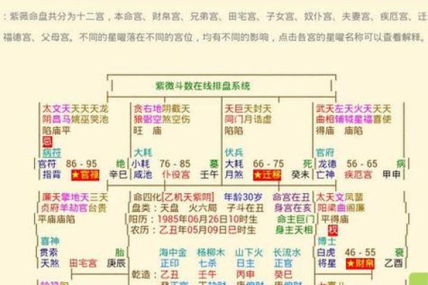 用紫微排盘揭开人生的神秘面纱，掌握命运的关键