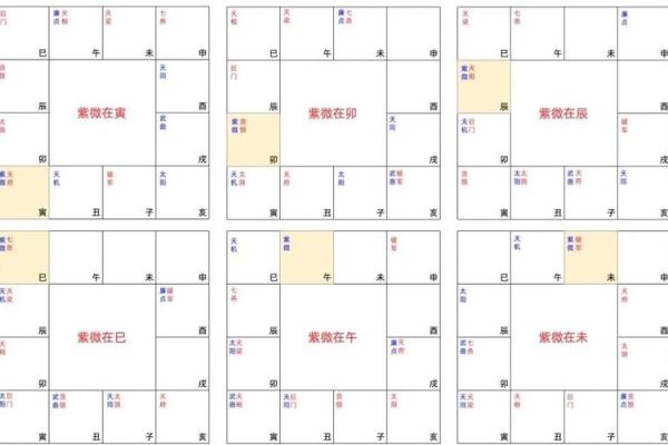 用紫微排盘揭开人生的神秘面纱，掌握命运的关键