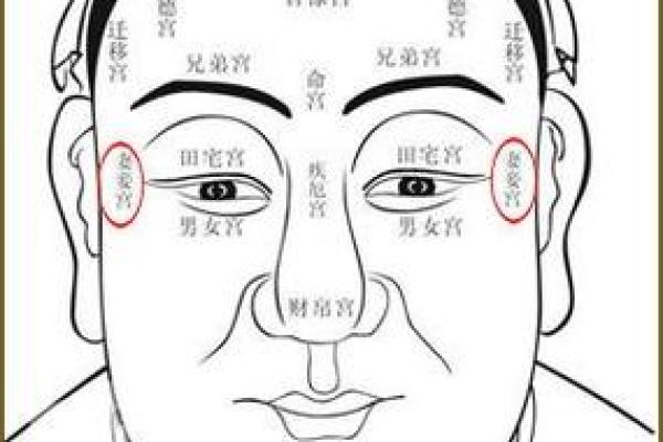 揭秘面相：破面相人神秘面纱背后的运势解析