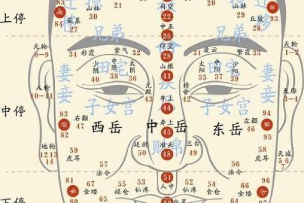 男人面相揭秘：五官间的运势密码