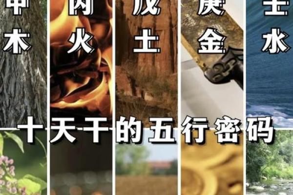 天干都是金，如何巧妙运用五行智慧