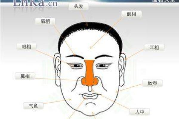 面相神探：揭秘娱乐圈面相好男人的秘密魅力