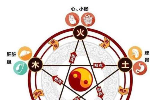 乐字五行与命理相辅相成，掌握这五行能量