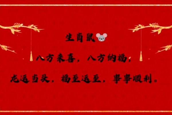 2024鼠年运势揭秘：你的生肖命运大揭秘