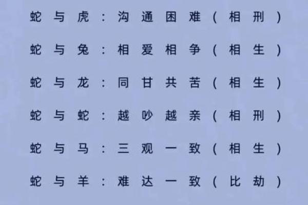 揭秘生肖相配法则：最适合你的生肖伴侣在这里