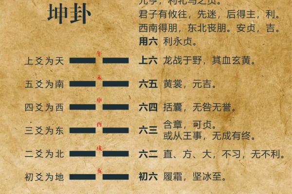 六爻正反卦排盘全解析：如何准确解读卦象