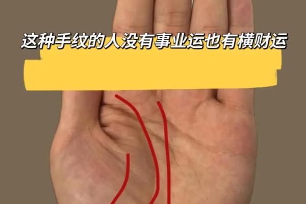 揭秘男性财运秘密：手相图解大全，助你财富翻倍
