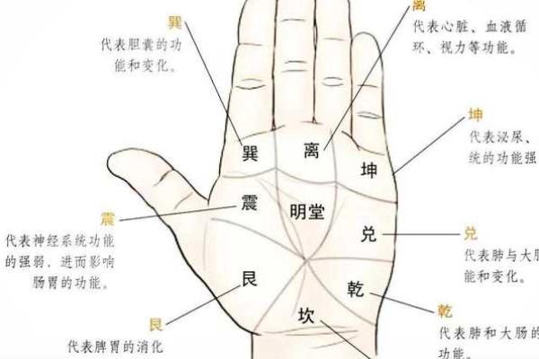 揭秘掌指不协调手相：预示着什么运势，你中招了吗？