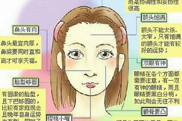 揭秘面相气运行：读懂五官，掌控运势
