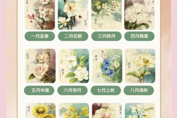 揭秘12个月，带你领略中国民俗魅力