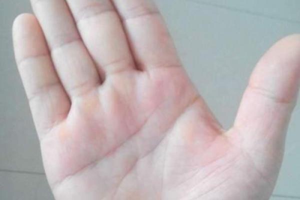 揭秘：手握富贵命，这种手型的人注定一生辉煌