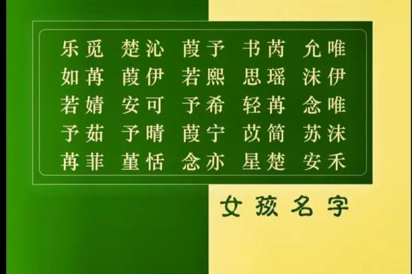 走近起名典，探索古老命名艺术与现代智慧的结合