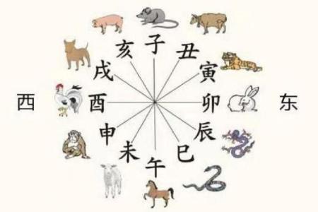 属相揭秘：揭秘风水方位对运势的影响，助你趋吉避凶