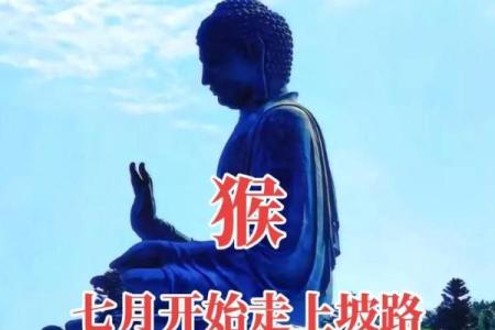 天生一对猴男猴女，幸福美满婚姻生活