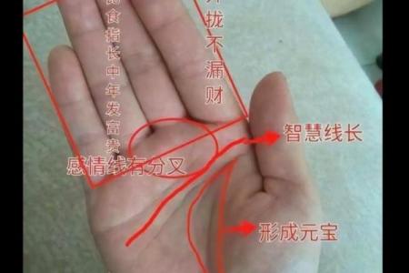 揭秘：手掌长于手指的神秘手相，揭秘你的运势与命运