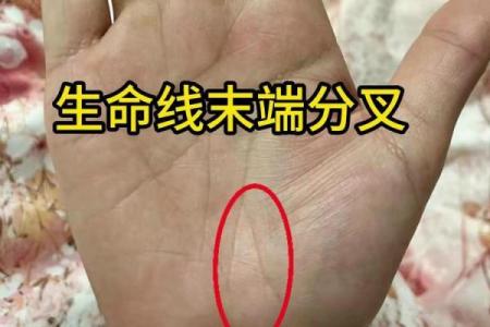 揭秘手相生命线起端，你的命运从此改写