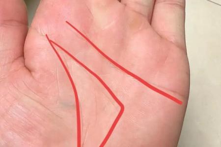 手相中心三角：揭秘财运亨通的秘密