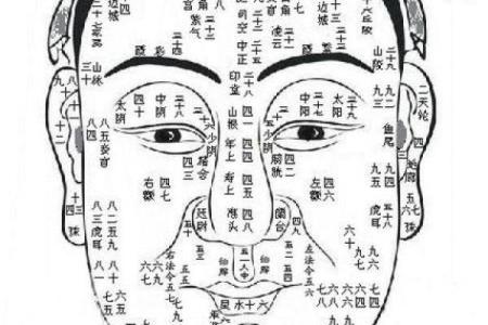 面相算命，真的准吗？揭秘神秘面相学的惊人秘密