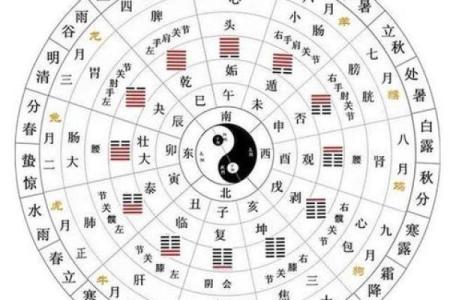 八字排盘分析：如何通过命格掌控你的财富与健康运势