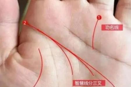揭秘面相奥秘：手相面相全知道，让你一眼看透人心