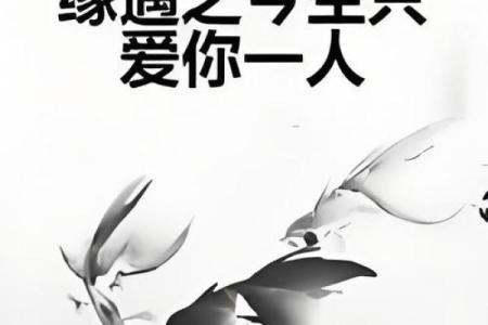 狗缘相配，爱情甜蜜升级