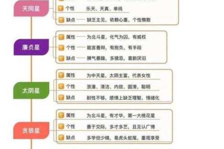 专家解读紫微斗数排盘：助你精准预测未来运势