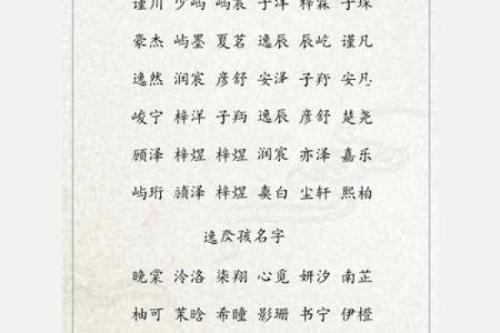 屹起名：不容错过的命名技巧与策略
