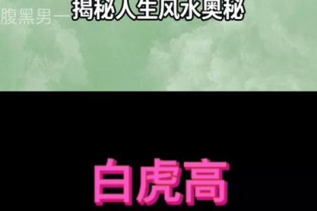 揭秘无子面相：命运之谜还是生活选择？