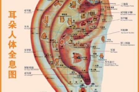面相揭秘：这些面相特征暗示你会在何时迎来婚姻大事