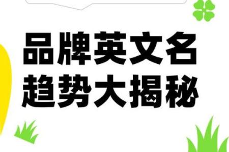 高科技公司起名大揭秘，轻松打造全球影响力品牌