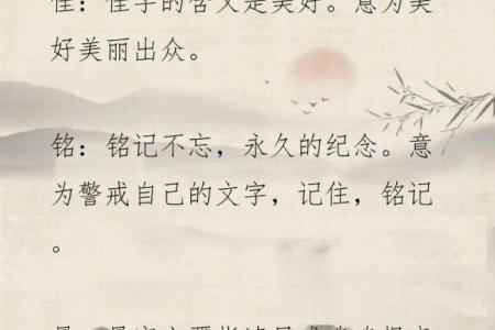 如何通过起名系统提高名字的文化内涵