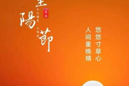 登高赏菊，共度重阳佳节