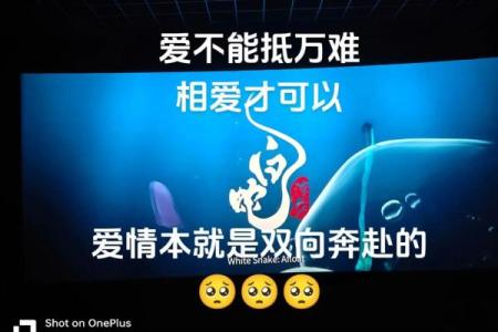 同年同月同日生，91年情缘？