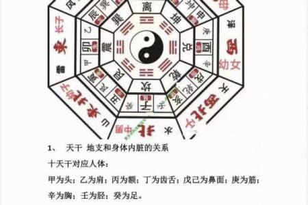 揭秘：风水究竟有科学依据？揭秘传统智慧与科学实证的碰撞