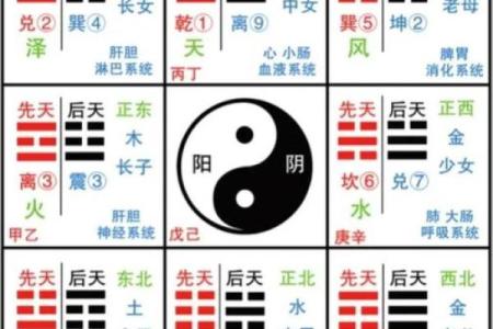 五行生辰八字揭秘：如何通过命理找准人生方向