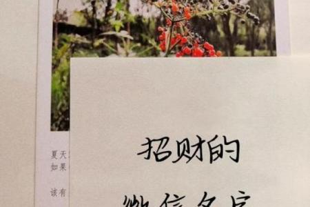 金运之命，揭秘财富人生密码