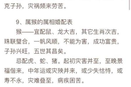 女牛婚姻指南：揭秘最适合你的伴侣类型